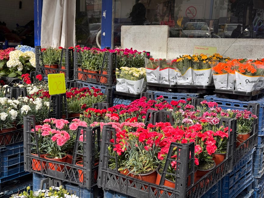 An outdoor display of vibrant flowering plants arranged in black plastic crates on a sidewalk, featuring pink, red, orange, yellow, white, and purple blooms, including carnations, marigolds, and chrys