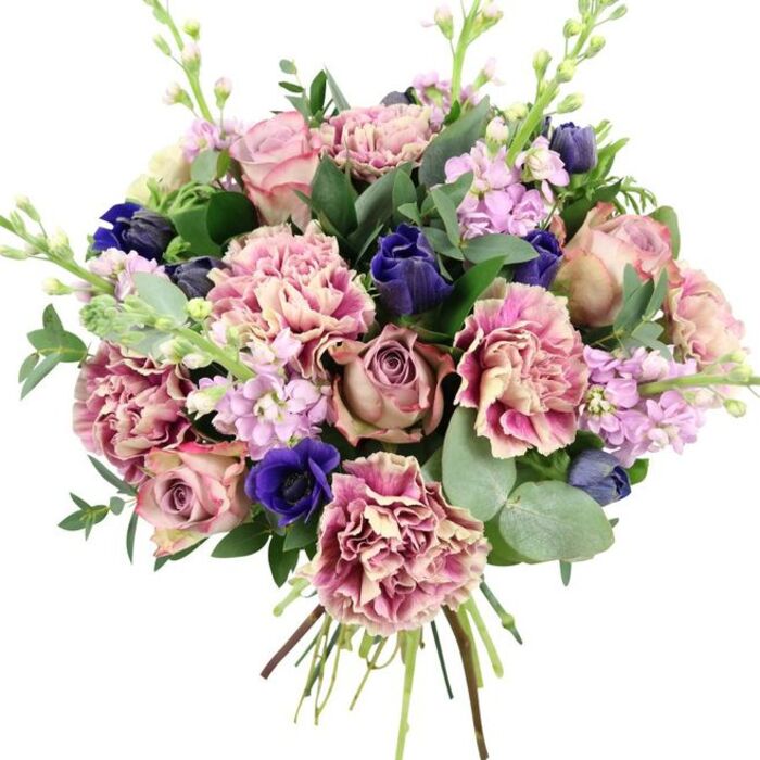 A sophisticated hand-tied bouquet stands out clearly against a smooth white background, its colours and textures reminiscent of a thoughtfully curated arrangement from a neighbourhood florist serving Highbury and Canonbury. Dominating the composition are luxuriant garden roses in full bloom, their petals unfolding in tight spirals of blush pink, dusty mauve, and antique rose tones, creating a rich, romantic centre. Around them gather layers of ruffled carnations and dianthus, each bloom abundant and softly textured, blending creamy beige and pale blush interiors into edges flushed with rose and vibrant plum-pink, lending both volume and a gently shifting play of colour. Cutting through these warm pastels, deep indigo and royal blue flowers provide striking contrast, including an elegant scatter of tulip-like buds and a particularly eye-catching anemone near the bottom-front. This anemone's royal blue petals encircle a dark, almost black centre, adding a strong focal point and a sense of depth. Rising lightly above and between the larger heads are spires of lilac and pale lavender stock, their numerous tiny blossoms clustered closely along slender stems, introducing airiness and subtle vertical movement. Framing the bouquet, glossy dark green leaves intertwine with the soft, round forms of silvery eucalyptus, whose muted, cool tones balance the richer hues and hint at a refreshing, herbaceous scent. The stems of the bouquet are carefully gathered and visible at the base, fanned slightly to reveal the hand-crafted, fresh-cut nature of the design, as if it has just been prepared for same-day delivery to a flat overlooking Highbury Fields or a dinner table off Blackstock Road. The arrangement feels modern yet timeless, ideal for birthdays, anniversaries, or simply to offer comfort and quiet elegance.